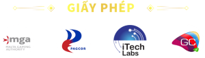 giấy phép MM88