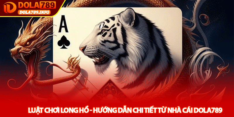 Luật chơi Long Hổ - Hướng dẫn chi tiết từ nhà cái Dola789
